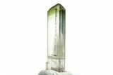 Green Elbaite Tourmaline Crystal - Rubaya, Congo #206898-1